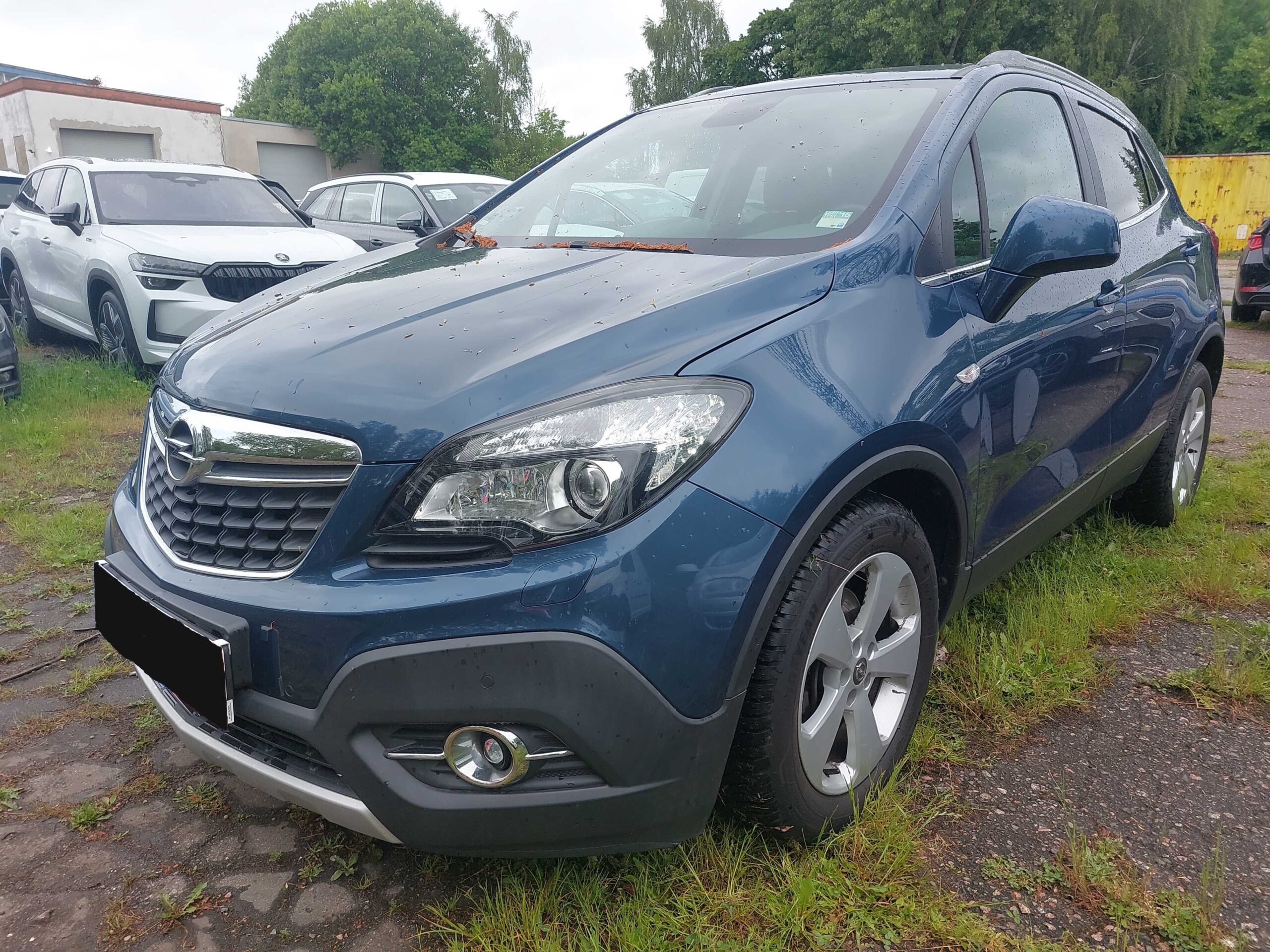 mokka